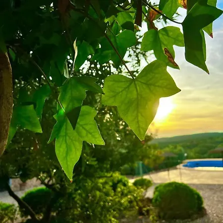 Complejo Rural Mirador De La Alcaidia Holiday home *