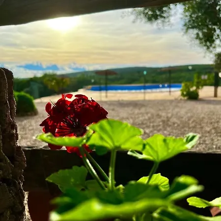Complejo Rural Mirador De La Alcaidia Holiday home *