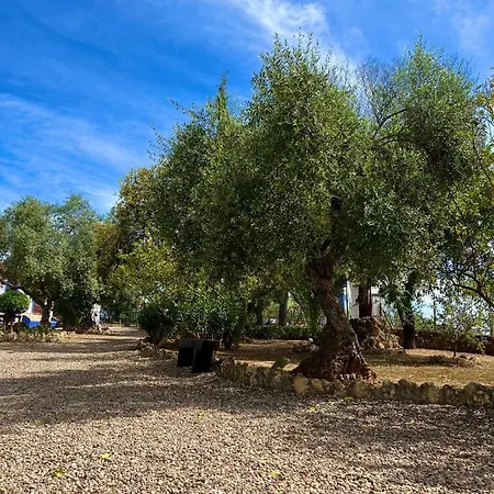 Complejo Rural Mirador De La Alcaidia Holiday home *