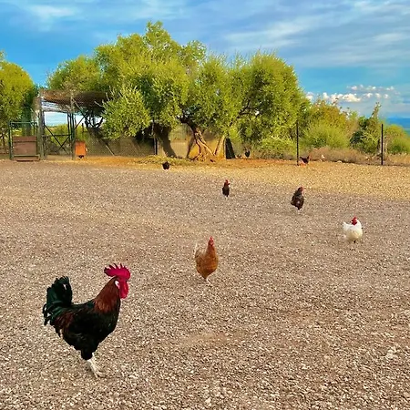 Prázdninový dům Complejo Rural Mirador De La Alcaidia Hornachuelos